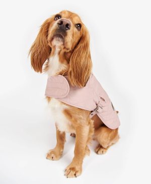 Quilted Dog Coat