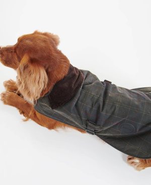 Tartan Waxed Dog Coat