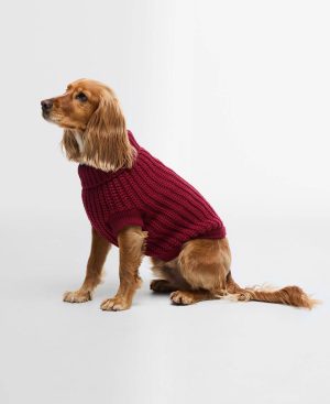 Saltburn Dog Jumper